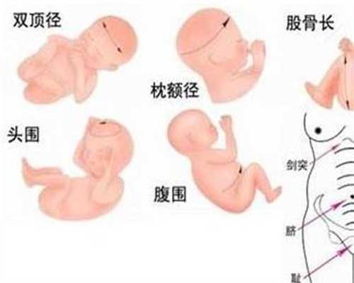 武汉代孕网_怀孕第九周胎儿的症状和准妈妈的症