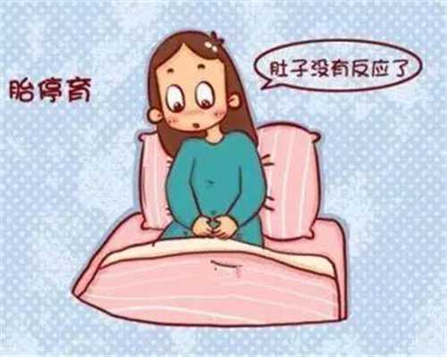武汉最好的代孕产子价格网_怀孕17周胎儿有多大