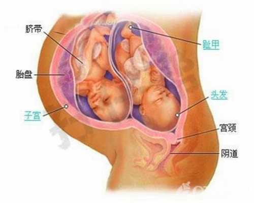武汉代孕免费咨询_小孩急性中耳炎的症状