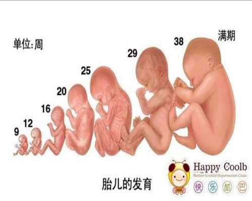 武汉代孕公司_b超机对孕妇有辐射吗