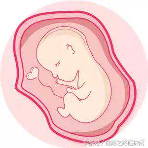成都代孕中心招供卵_分娩或流产后多久才能怀孕？再次“造人”你需要知道这